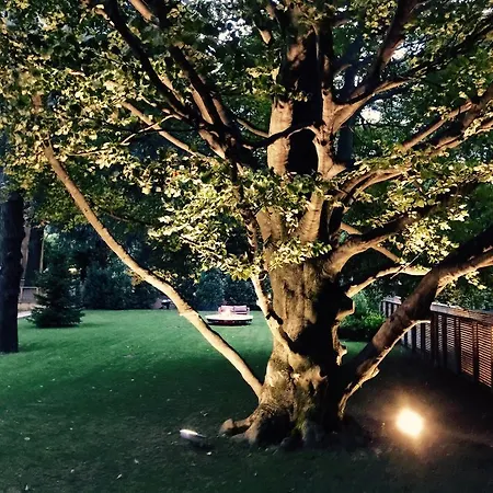 Casa Sull'albero 게스트하우스 말그라테