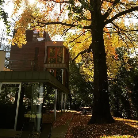 Casa Sull'albero