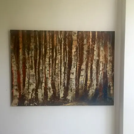 Casa Sull'albero Malgrate