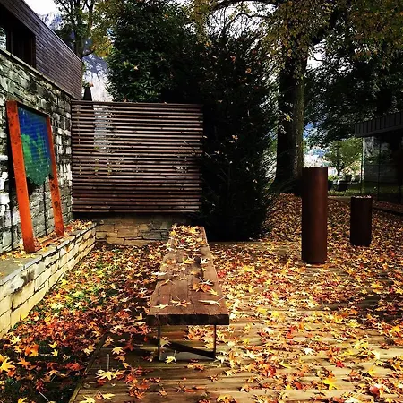 Casa Sull'albero