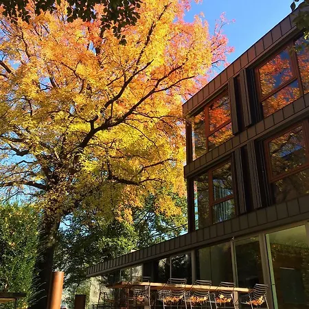 Affittacamere Casa Sull'albero Malgrate